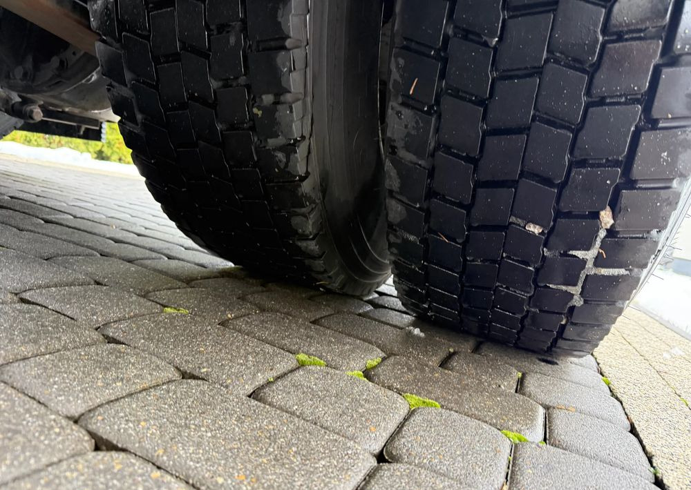 Tracteur routier Renault T 480 PARK COOL: photos 8