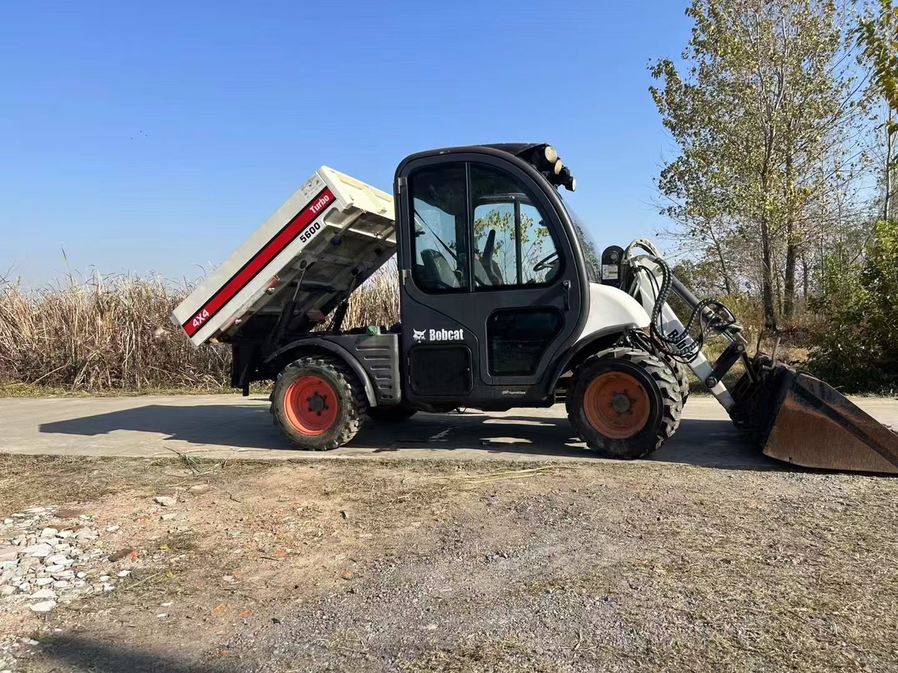 BOBCAT Bobcat 5600 - Mini chargeuse: photos 1 BOBCAT Bobcat 5600 - Mini chargeuse: photos 1