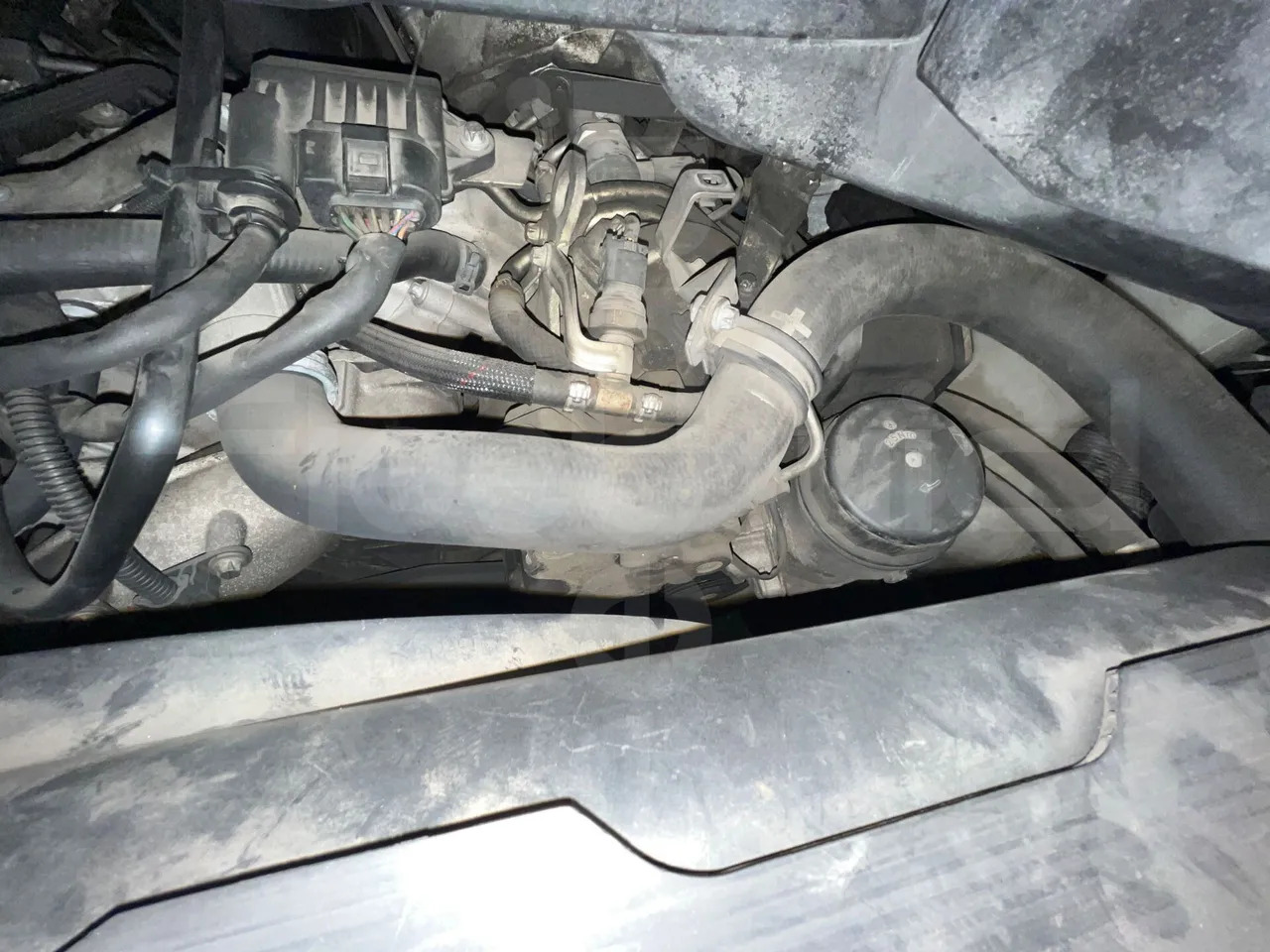 Minibus, Transport de personnes Mercedes-Benz Sprinter: photos 15