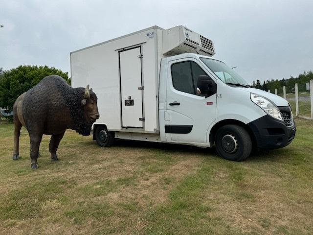 Renault Master - Utilitaire frigorifique: photos 5 Renault Master - Utilitaire frigorifique: photos 5