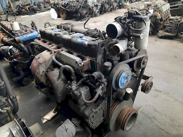 DAF WS242L - Moteur pour Bus: photos 3 DAF WS242L - Moteur pour Bus: photos 3