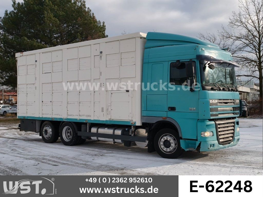 DAF XF 105/460T KABA 3 Stock Vollalu - Camion chevaux: photos 1 DAF XF 105/460T KABA 3 Stock Vollalu - Camion chevaux: photos 1