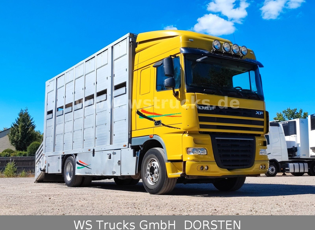 DAF XF 410 SC Menke Doppelstock - Camion chevaux: photos 3 DAF XF 410 SC Menke Doppelstock - Camion chevaux: photos 3