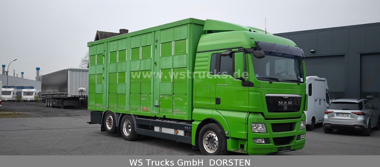 MAN TGX 26.480 XL KABA 3 Stock Viehtransporter - Camion chevaux: photos 3 MAN TGX 26.480 XL KABA 3 Stock Viehtransporter - Camion chevaux: photos 3