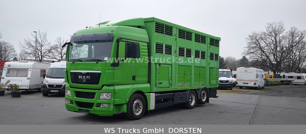 MAN TGX 26.480 XL KABA 3 Stock Vollalu - Camion chevaux: photos 2 MAN TGX 26.480 XL KABA 3 Stock Vollalu - Camion chevaux: photos 2