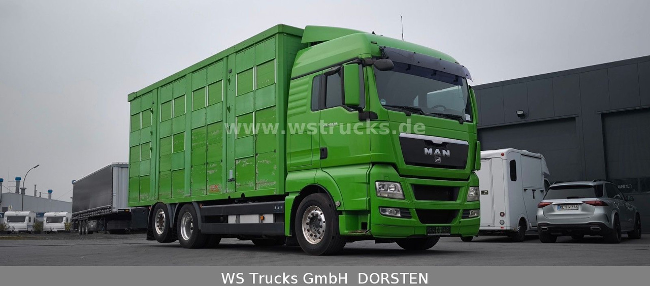 MAN TGX 26.480 XL KABA 3 Stock Vollalu - Camion chevaux: photos 4 MAN TGX 26.480 XL KABA 3 Stock Vollalu - Camion chevaux: photos 4