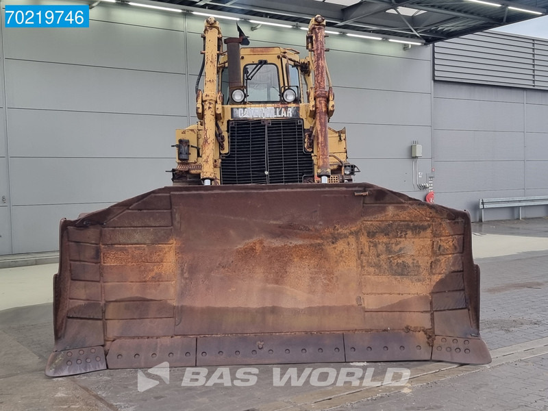 Crédit-bail de Caterpillar D8 N Caterpillar D8 N: photos 7