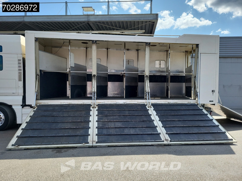 MAN TGX 26.480 TGX 6X2 NL-Truck BDF HorseTransport Lift+steering axle Standklima Automatic Xenon Alcoa´s Euro 5 - Camion porte-conteneur/ Caisse mobile: photos 3 MAN TGX 26.480 TGX 6X2 NL-Truck BDF HorseTransport Lift+steering axle Standklima Automatic Xenon Alcoa´s Euro 5 - Camion porte-conteneur/ Caisse mobile: photos 3