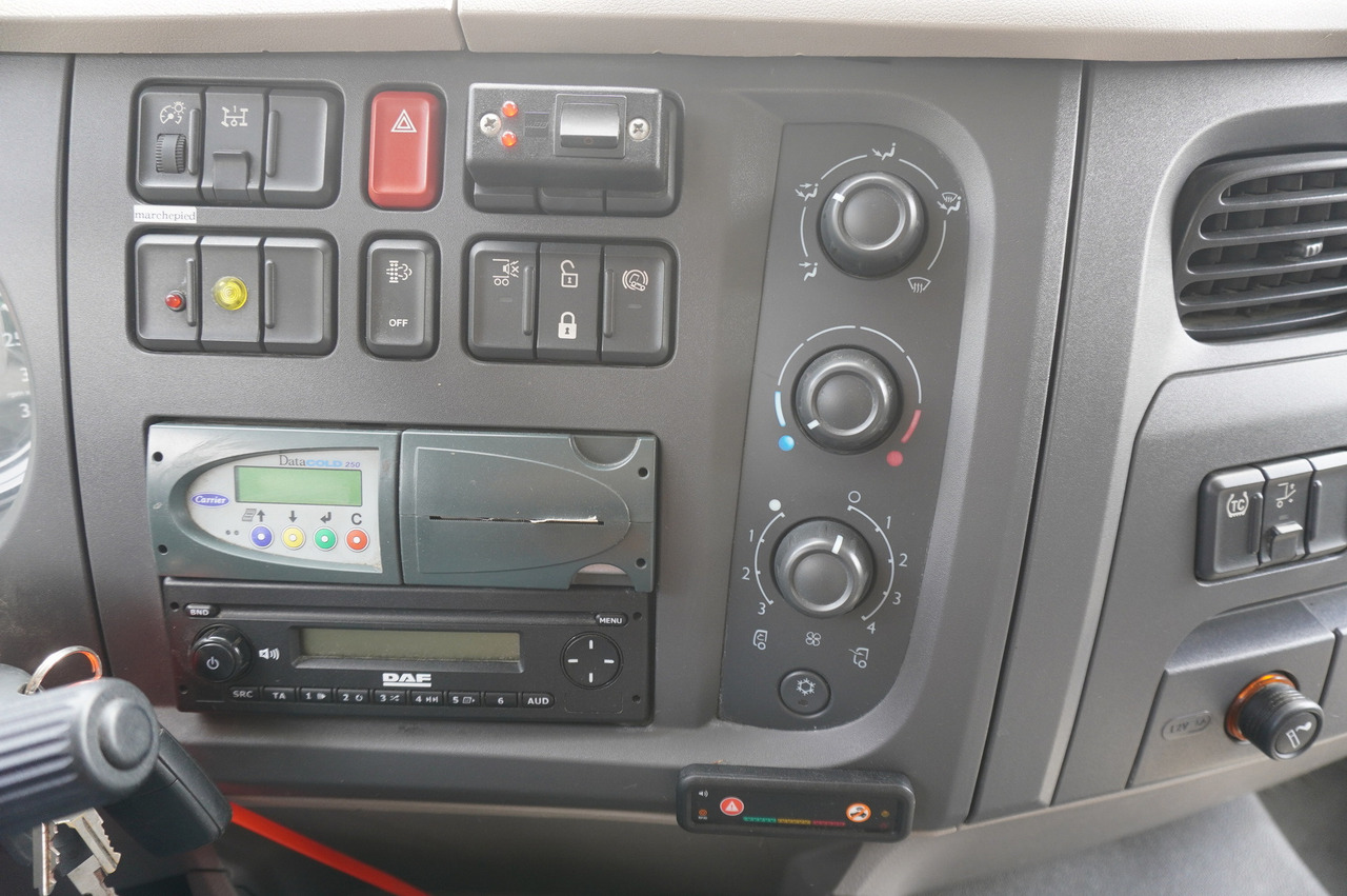 Crédit-bail de DAF LF 220 / Refrigerator 16 EPAL Multitemp / Carrier Supra 1150 MT / Palfinger 1500 kg DAF LF 220 / Refrigerator 16 EPAL Multitemp / Carrier Supra 1150 MT / Palfinger 1500 kg: photos 19
