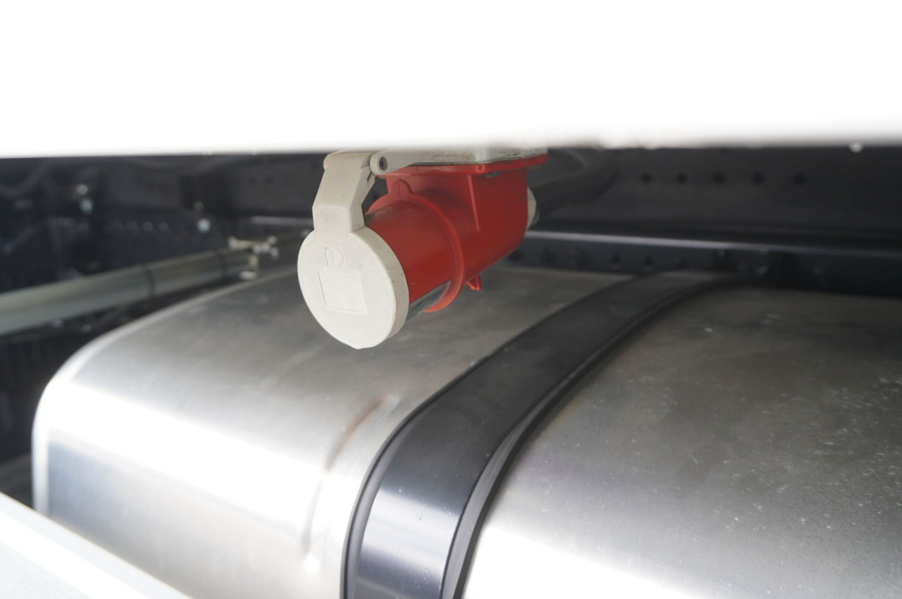 Camion frigorifique neuf DAF NEW XG 480 6×2 / 2025 / KRONE 20 EPAL Doppelstock Refrigerator / Thermoking T-1000R / No mileage / steered axle: photos 9