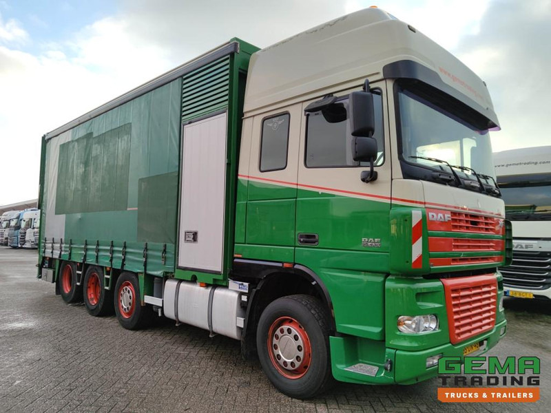 DAF FAK XF95.430 8x2 SuperSpaceCab Euro3 - CurtainSider 7.31m + Ramp 16T - MachineTransporter - 6 Persons (V558) - Camion porte-voitures: photos 3 DAF FAK XF95.430 8x2 SuperSpaceCab Euro3 - CurtainSider 7.31m + Ramp 16T - MachineTransporter - 6 Persons (V558) - Camion porte-voitures: photos 3