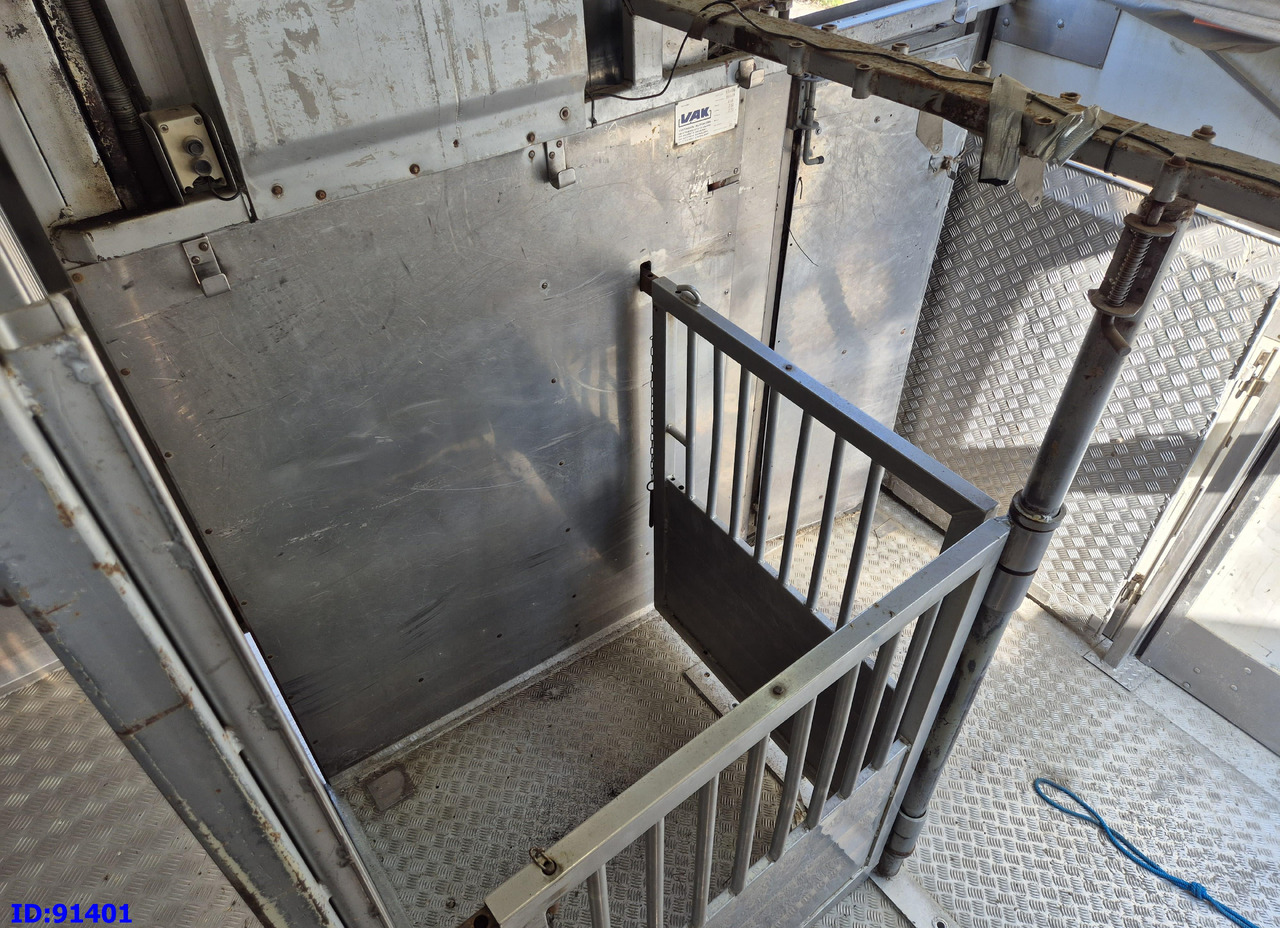 Camion bétaillère MERCEDES-BENZ Antos 2532 - 6x2 - Euro 6 - Animal transport: photos 12