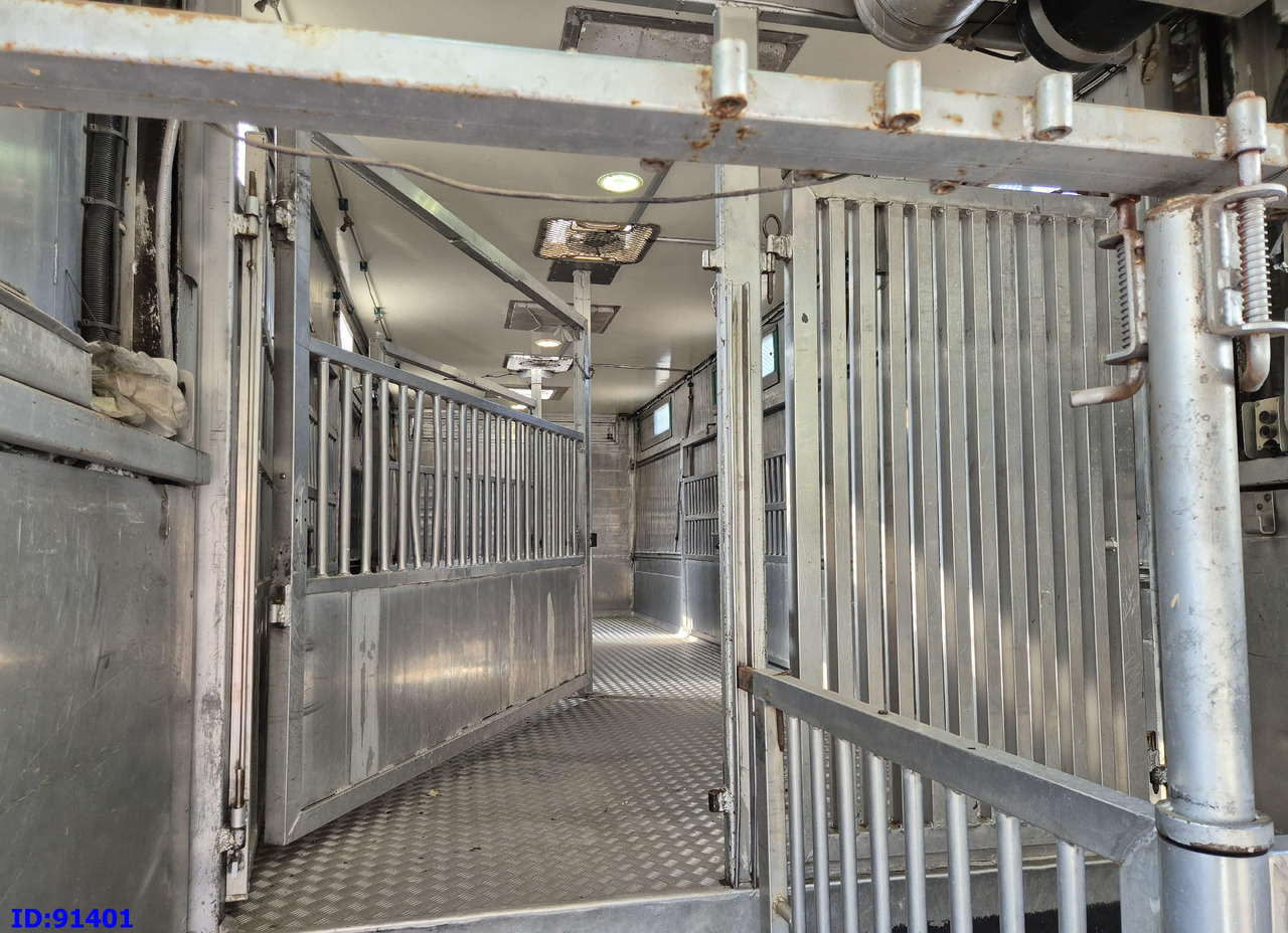 Camion bétaillère MERCEDES-BENZ Antos 2532 - 6x2 - Euro 6 - Animal transport: photos 9