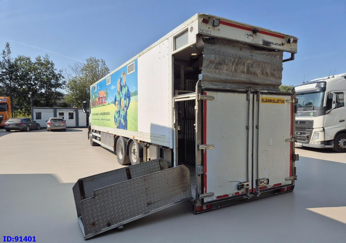 Camion bétaillère MERCEDES-BENZ Antos 2532 - 6x2 - Euro 6 - Animal transport: photos 15