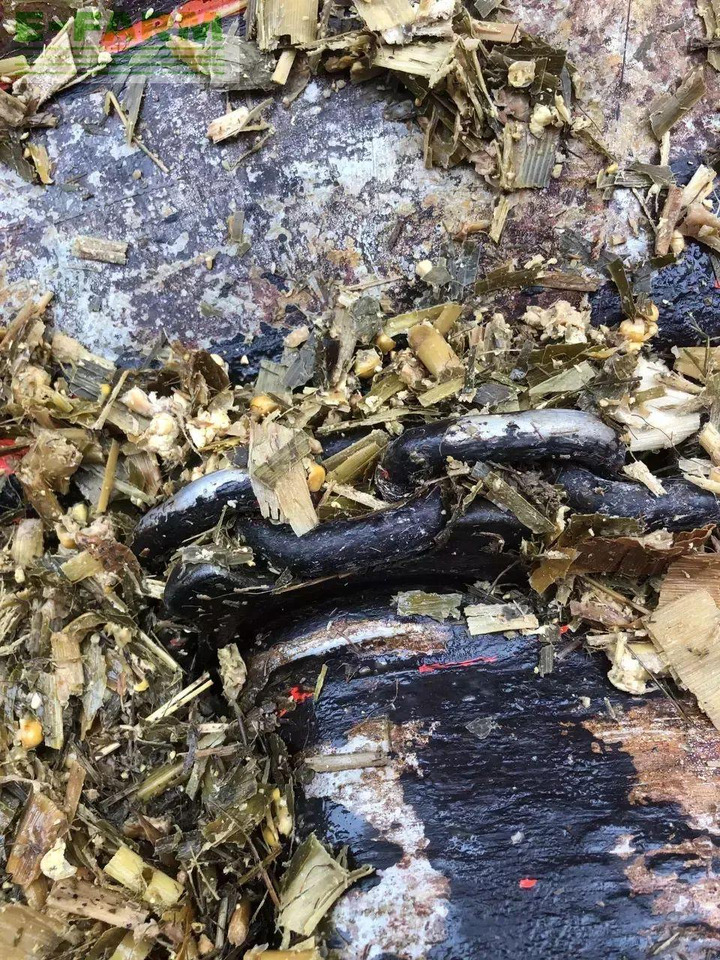 Matériel d'ensilage Kuhn altor 6070: photos 10