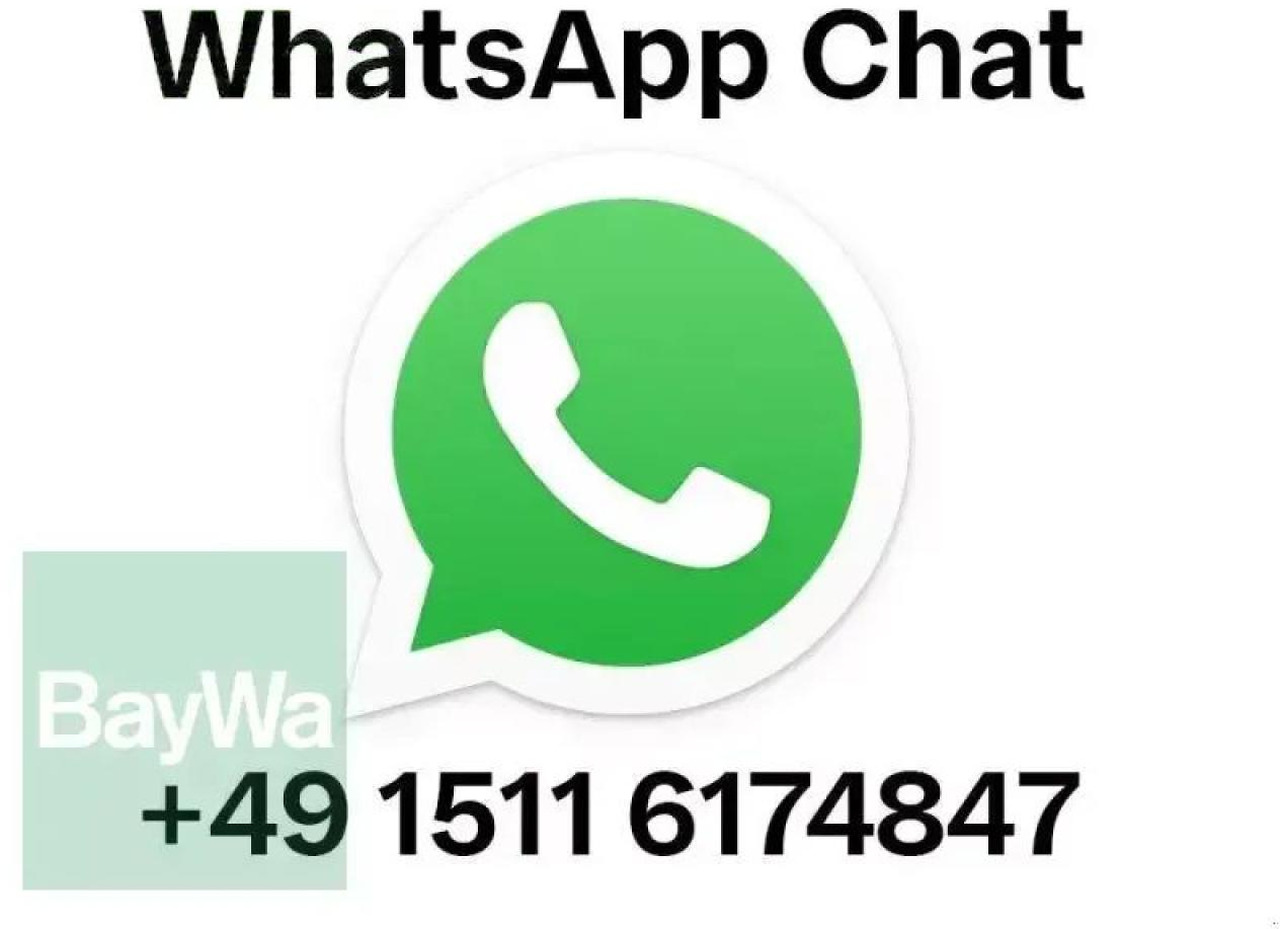 Schäffer 550 t #873 - Mini pelle: photos 2 Schäffer 550 t #873 - Mini pelle: photos 2