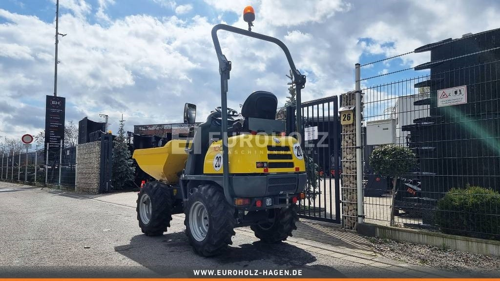 Mini tombereau Wacker 1001 Raddumper, Hochkipper, Diesel, Allrad (4x4): photos 10 Mini tombereau Wacker 1001 Raddumper, Hochkipper, Diesel, Allrad (4x4): photos 10