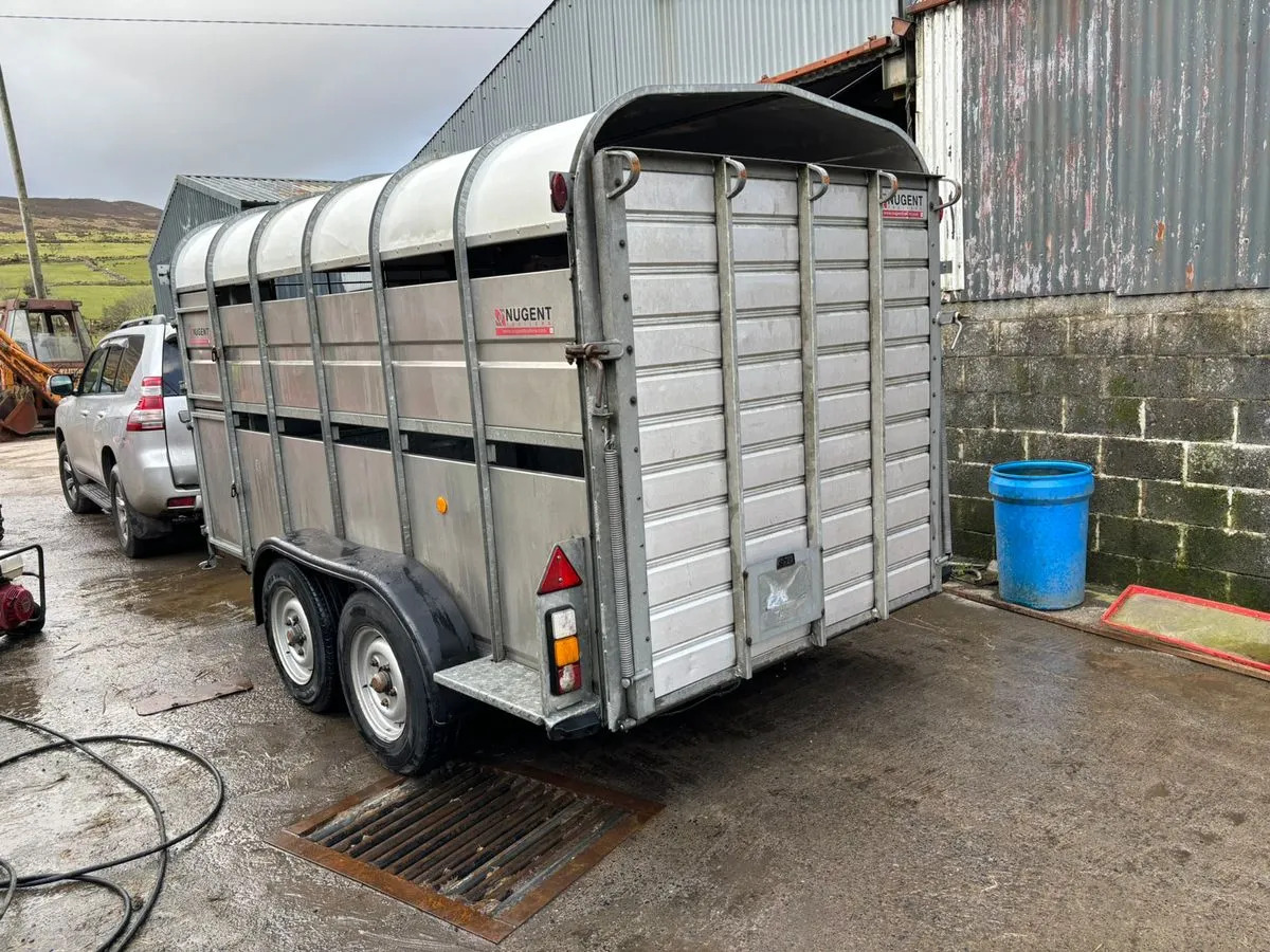 12X6 Nugent Livestock Trailer - Remorque bétaillère: photos 4 12X6 Nugent Livestock Trailer - Remorque bétaillère: photos 4