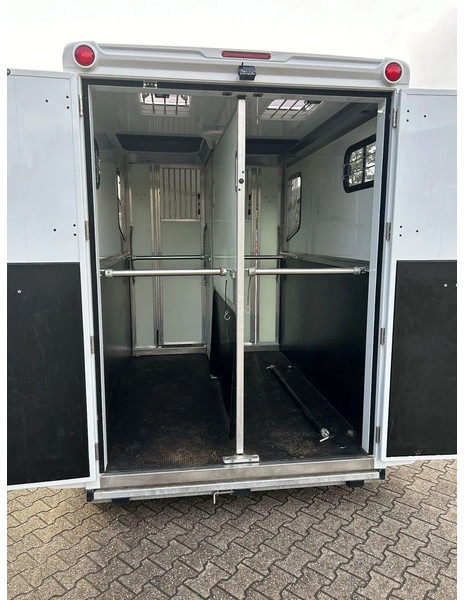 Van chevaux MTM MTM innovan: photos 13