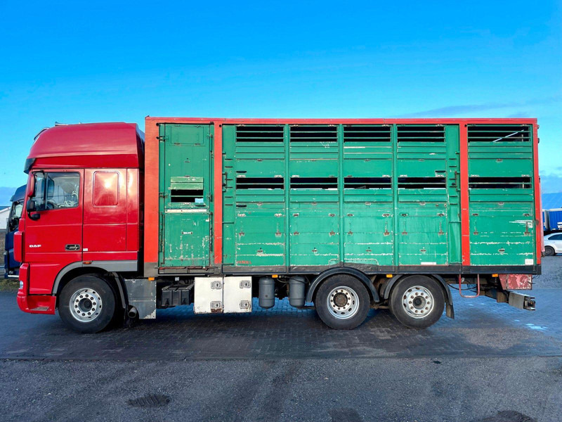 DAF XF 105.460 2-Stock Finkl Viehaufbau / Lenkachs - Camion bétaillère: photos 5 DAF XF 105.460 2-Stock Finkl Viehaufbau / Lenkachs - Camion bétaillère: photos 5