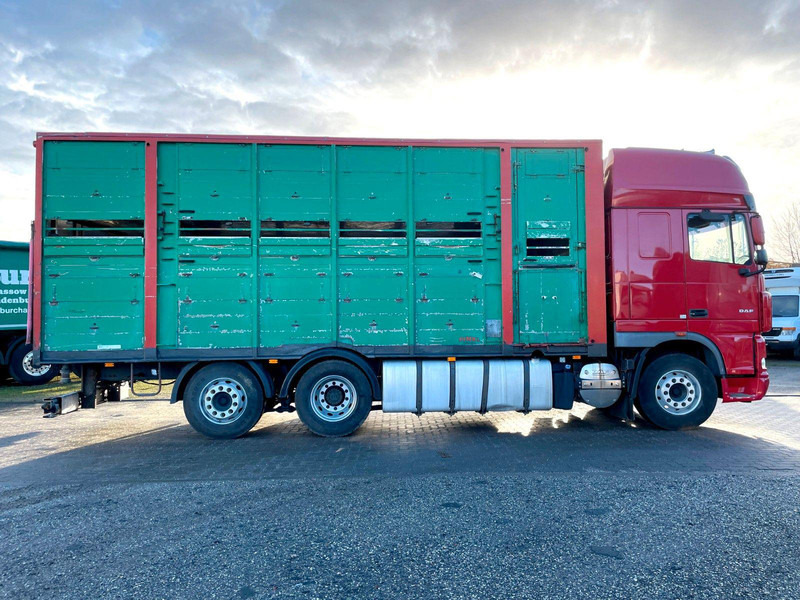 DAF XF 105.460 2-Stock Finkl Viehaufbau / Lenkachs - Camion bétaillère: photos 4 DAF XF 105.460 2-Stock Finkl Viehaufbau / Lenkachs - Camion bétaillère: photos 4