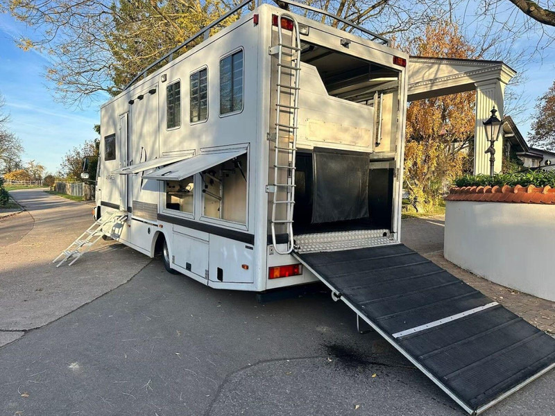 MAN 10.224 - Camion chevaux: photos 5 MAN 10.224 - Camion chevaux: photos 5