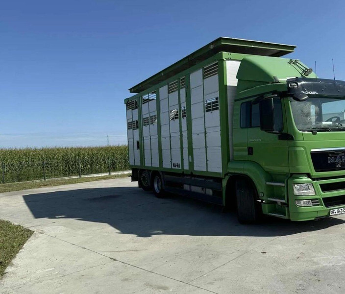 MAN TGS 26.440 Livestock Transporter - Three Deck - Camion bétaillère: photos 4 MAN TGS 26.440 Livestock Transporter - Three Deck - Camion bétaillère: photos 4