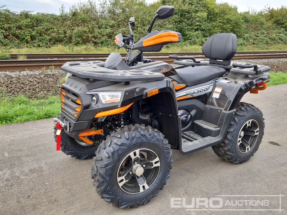 Unused TAO Motors TGA300F - Quadricycle: photos 1 Unused TAO Motors TGA300F - Quadricycle: photos 1