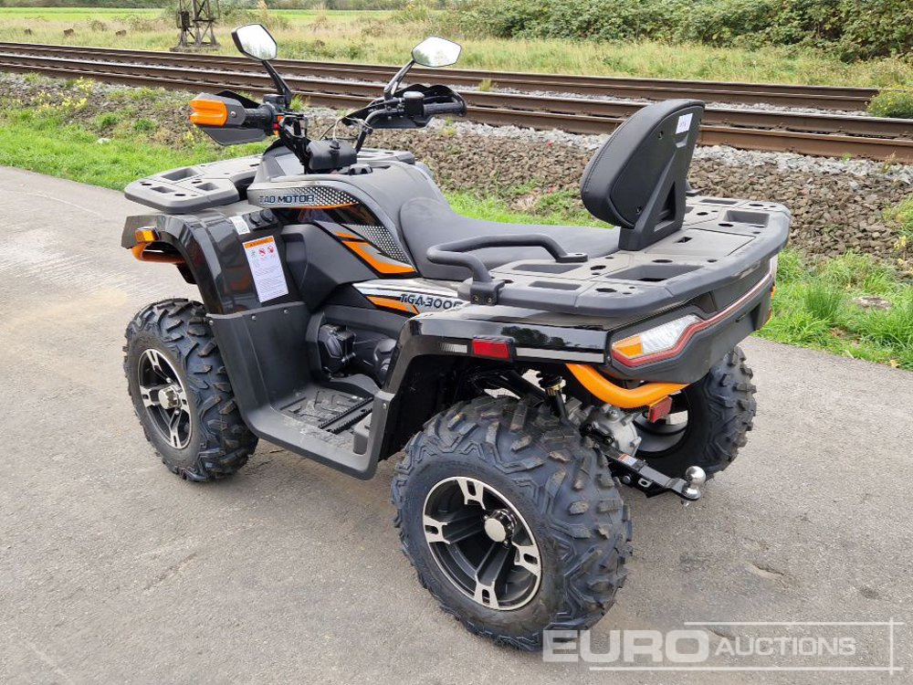 Unused TAO Motors TGA300F - Quadricycle: photos 3 Unused TAO Motors TGA300F - Quadricycle: photos 3