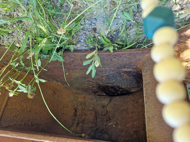 GEITH GEITH - Godet: photos 2 GEITH GEITH - Godet: photos 2