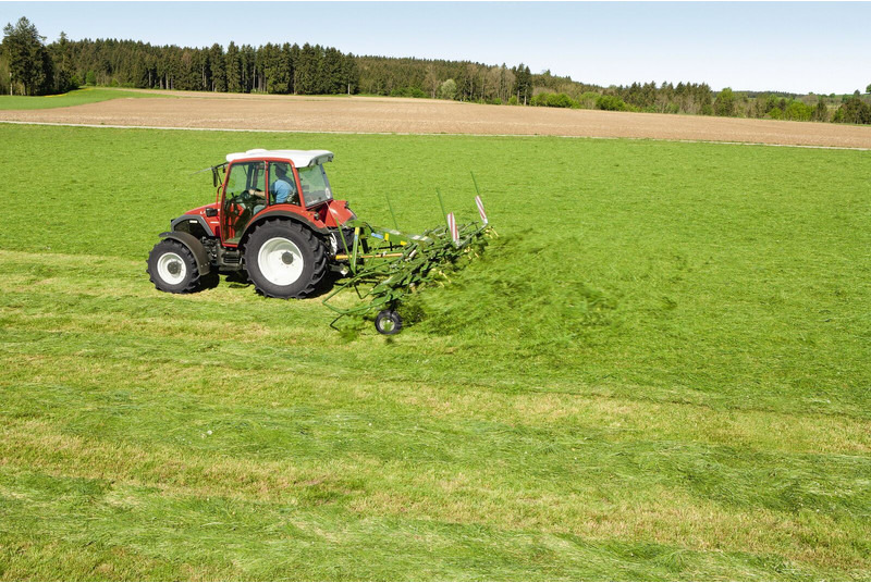 Krone gedragen schudders KW - Faneuse: photos 5 Krone gedragen schudders KW - Faneuse: photos 5