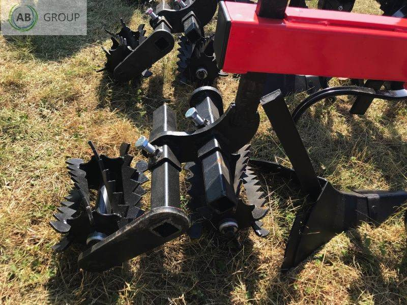 Dziekan ciężki pielniko-obsypnik do upraw miedzyrzędowych - Outils du sol: photos 2 Dziekan ciężki pielniko-obsypnik do upraw miedzyrzędowych - Outils du sol: photos 2