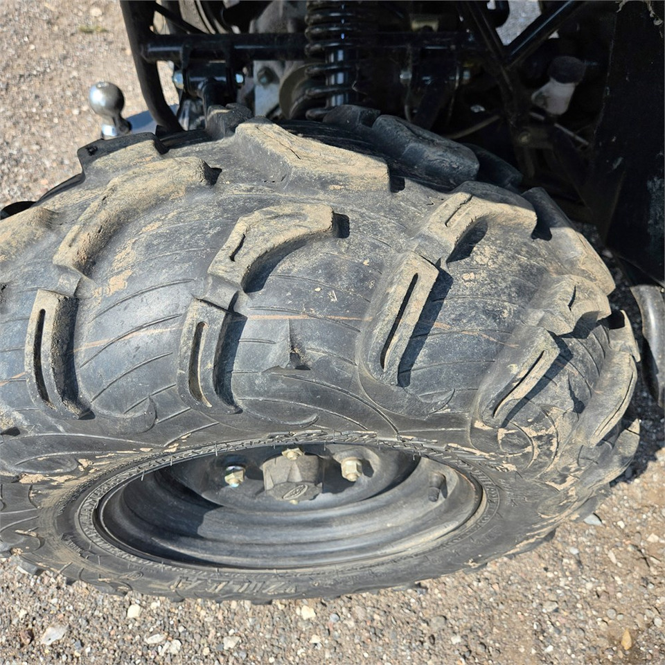 Quadricycle SMC Jumbo 700L: photos 23