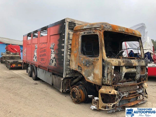 Mercedes-Benz R485-13A/C22.5 – 2.929 P/N: 748595 - Différentiel pour Camion: photos 1 Mercedes-Benz R485-13A/C22.5 – 2.929 P/N: 748595 - Différentiel pour Camion: photos 1