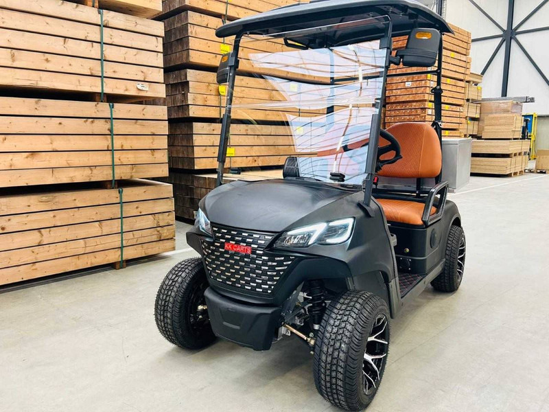 RTE - Voiturette de golf: photos 4 RTE - Voiturette de golf: photos 4