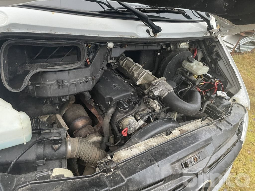 Camion chevaux MERCEDES-BENZ 316 CDI: photos 23