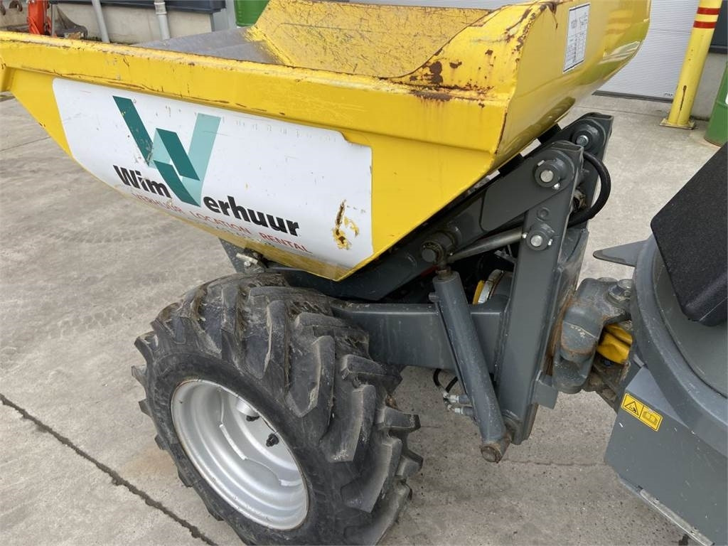 Wacker Neuson Neuson 1001 (5355) - Mini tombereau: photos 5 Wacker Neuson Neuson 1001 (5355) - Mini tombereau: photos 5